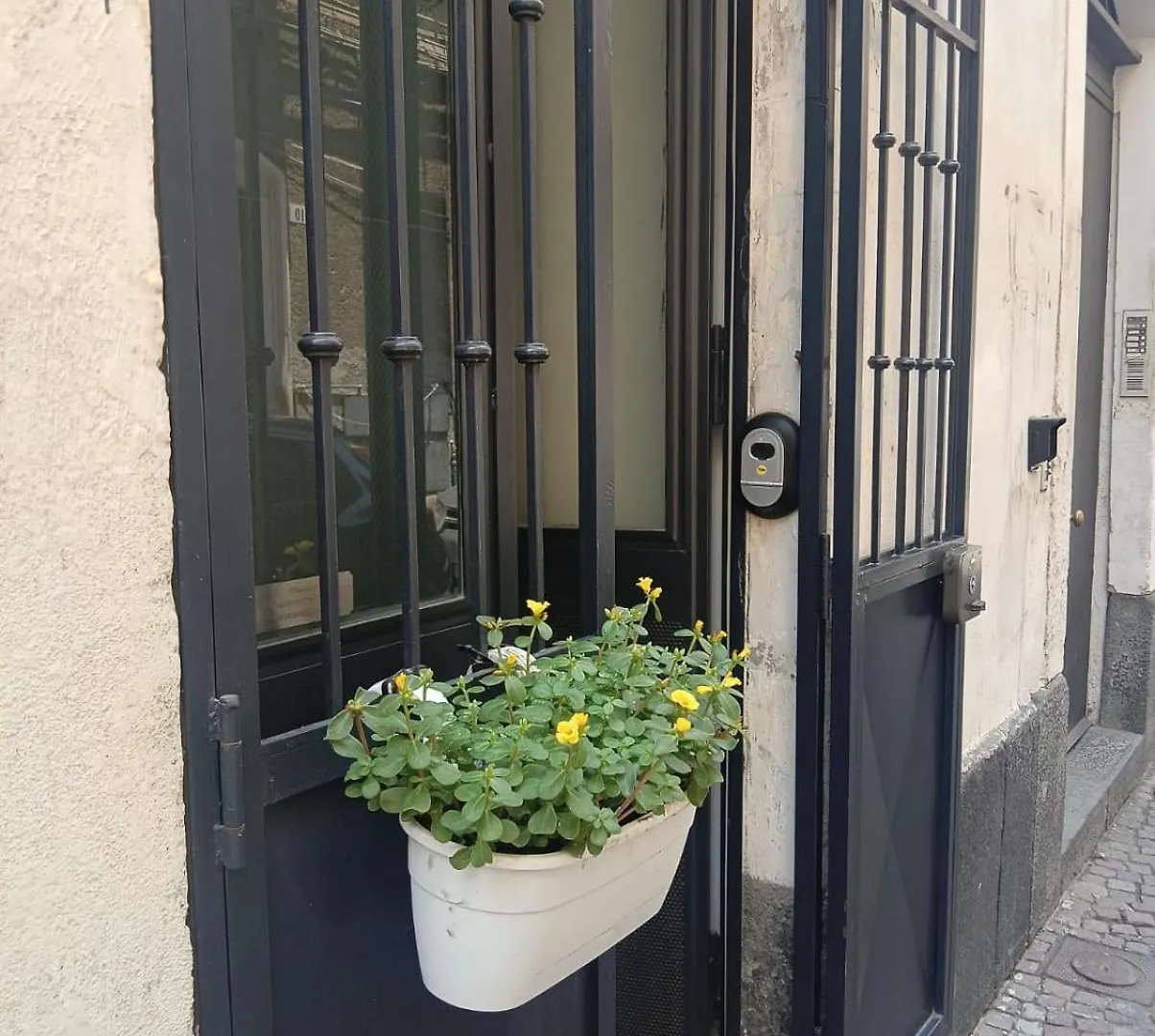 Appartamento Clemamhouse Catania